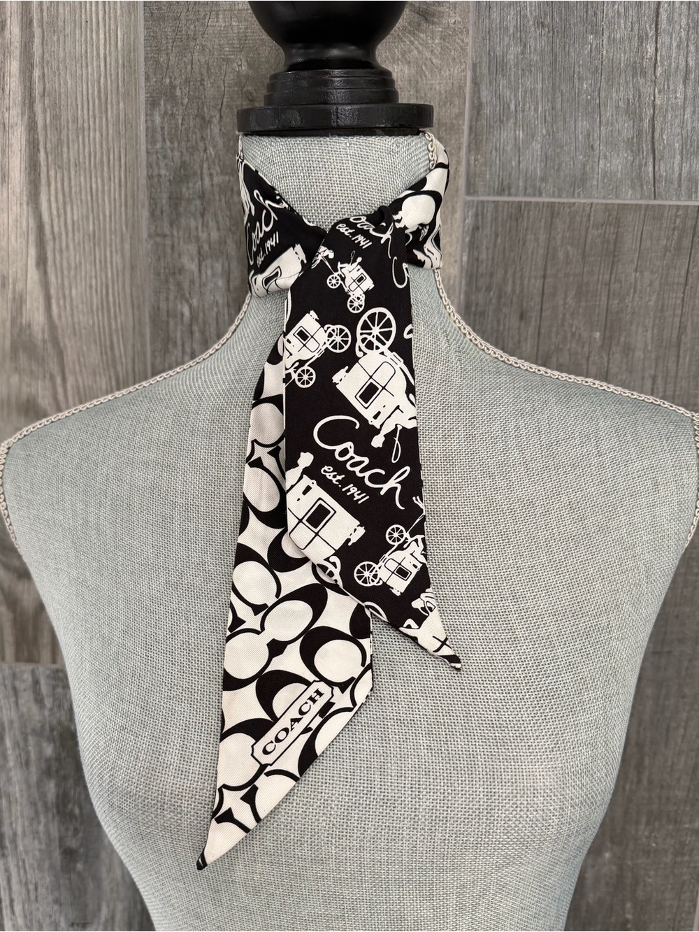 Coach Double-Sided Small Silk Twilly Scarf
